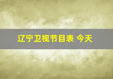 辽宁卫视节目表 今天